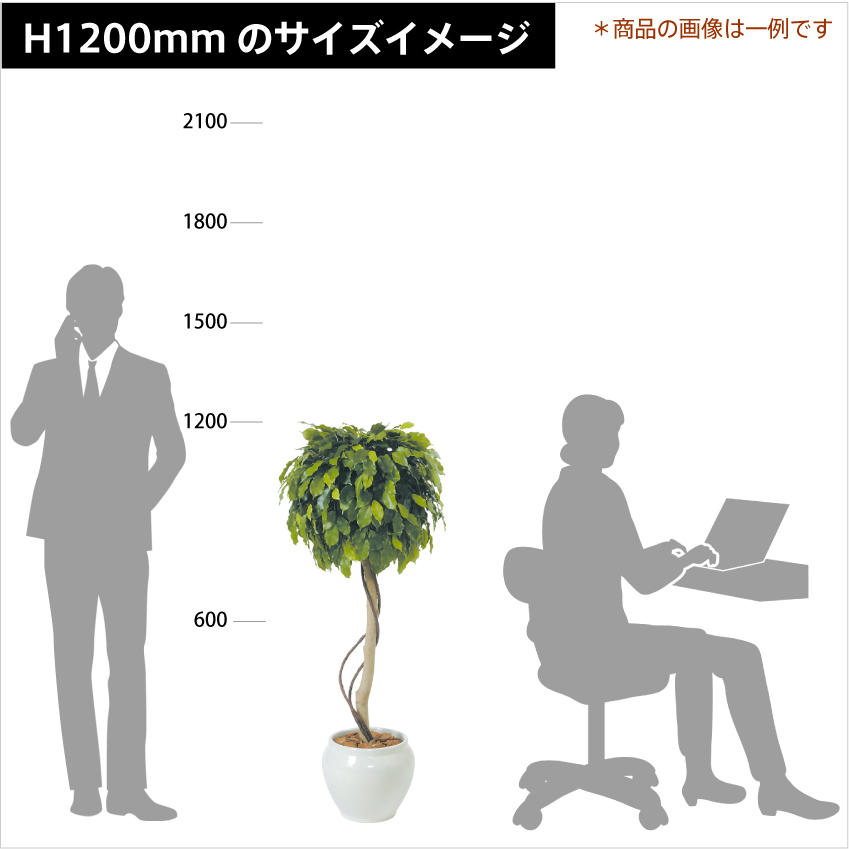 メープルトピアリー（1個玉） H1200mm HBKD-1-023 | アール・エフ・ヤマカワ株式会社