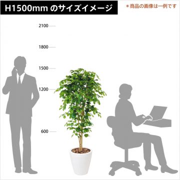 green-size-h1500