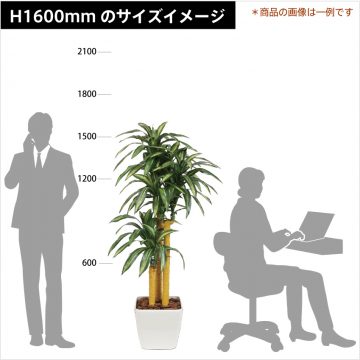 green-size-h1600