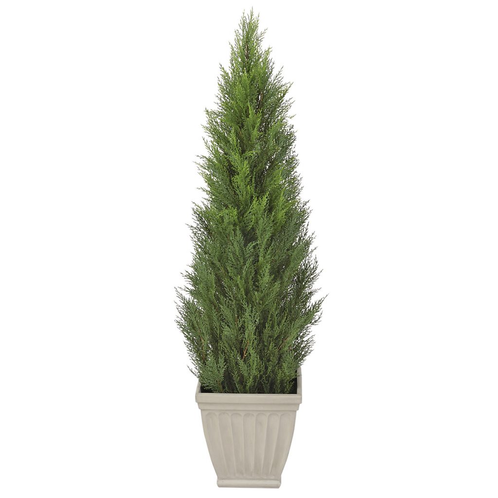 コニファー H1500mm HBKD-1-028 | オフィスプランニング・オフィス