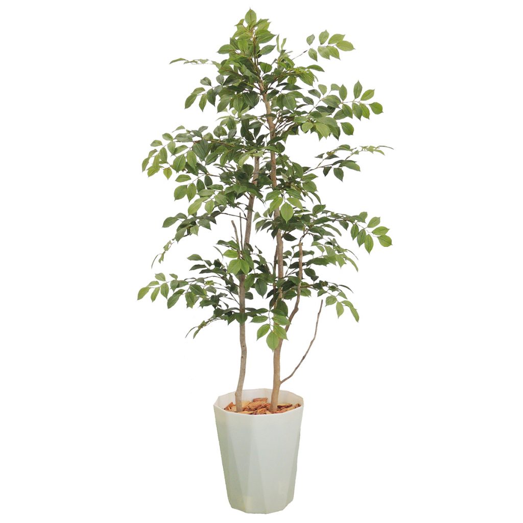 マウンテンアッシュ H1200mm HBKD-2-029 | オフィスプランニング