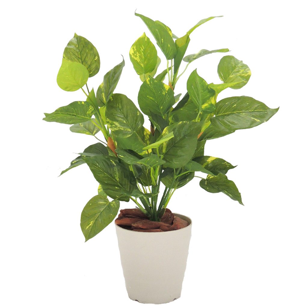 ポトス H600mm HBKD-2-037 | オフィスプランニング・オフィス