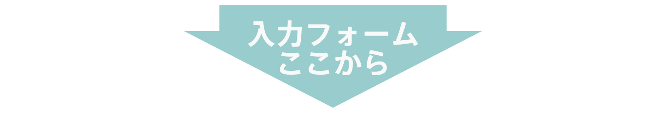入力フォームここから