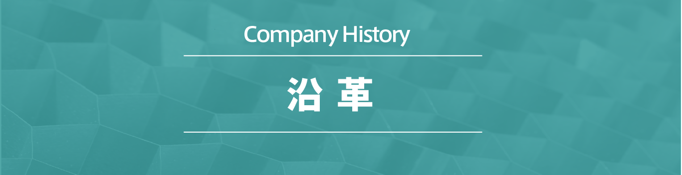 アール・エフ・ヤマカワ株式会社の沿革