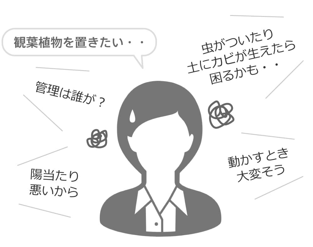 観葉植物のデメリット
