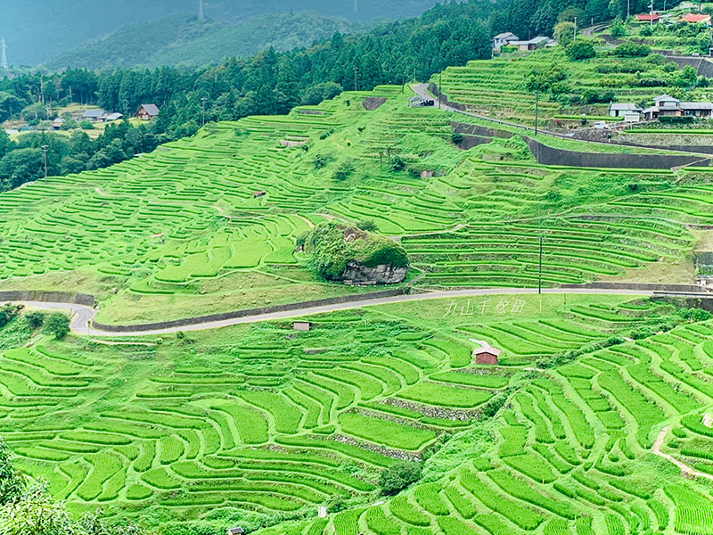 三重の風景 丸山千枚田