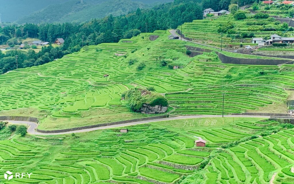 大切にしたい日本の原風景。三重県熊野市の「丸山千枚田」