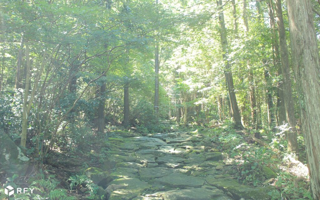 世界遺産の熊野古道伊勢路。「馬越峠の石畳」